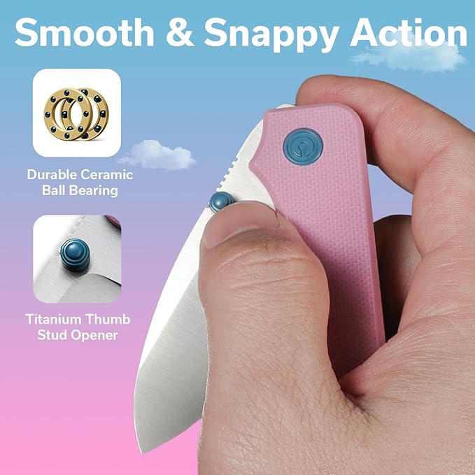 CIVIVI Small Pocket Knife for EDC, Ben Petersen Folding Knife Baby Banter with 2.34" Nitro-V Blade G10 Handle, Titanium Thumb Stud Opener C19068S-10