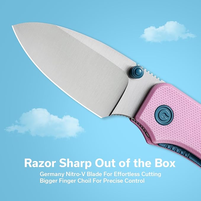 CIVIVI Small Pocket Knife for EDC, Ben Petersen Folding Knife Baby Banter with 2.34" Nitro-V Blade G10 Handle, Titanium Thumb Stud Opener C19068S-10