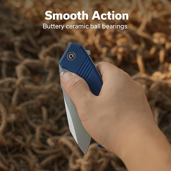 CIVIVI Placoid Pocket Knife for EDC, Folding Knife with 3.67" 14C28N Blade G-10 Handle For Men Women Gift C23079-2