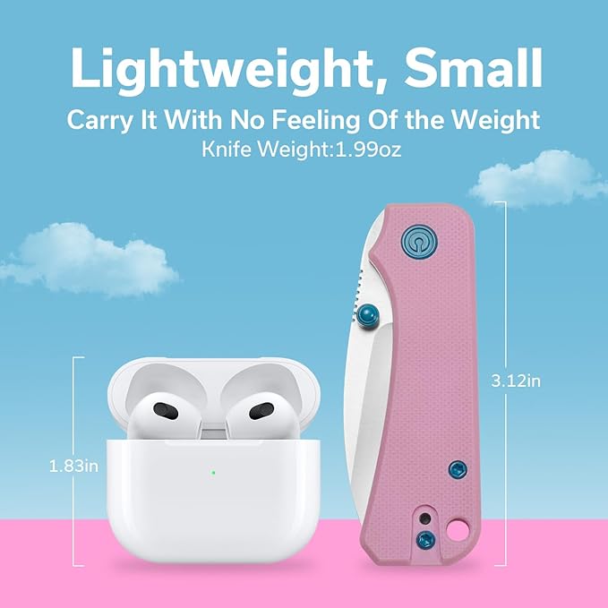 CIVIVI Small Pocket Knife for EDC, Ben Petersen Folding Knife Baby Banter with 2.34" Nitro-V Blade G10 Handle, Titanium Thumb Stud Opener C19068S-10