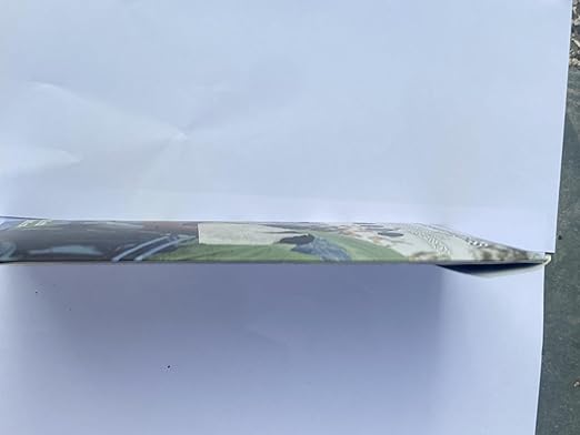 Cahomo 7.9x3.9 inch 12 PCS Nylon Repair Patch Nylon Repair Tape Self Adhesive Fabric Tapes Outdoor Camping Gear Fabric kit for Tent, Umbrella, Down Jackets, Sleeping Bag, Knapsack（Dark Green）