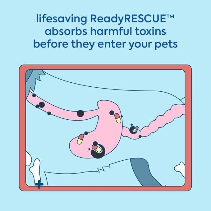 ReadyRESCUE - Dog First Aid Kit Essential - Activated Charcoal Detox for Dogs, Cats, Pets - Animal First Aid Kit - Dog Medical Emergency Kit - Dog Travel Essentials - 30g (3 Vials of 30g)